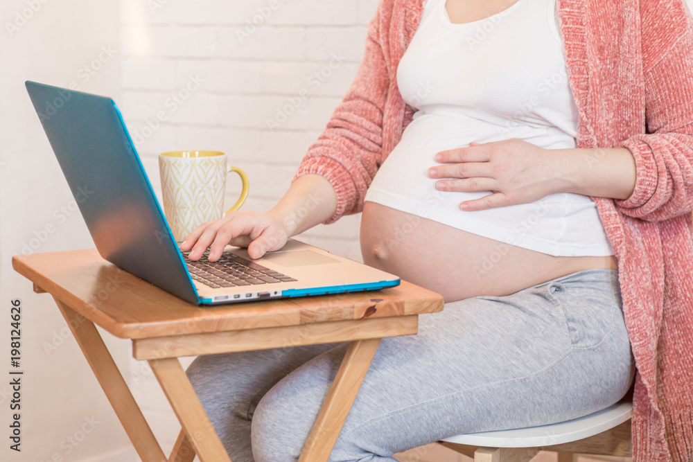 Naklejka premium Pregnant woman working on the laptop at home