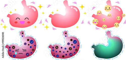 Stomach illustration set