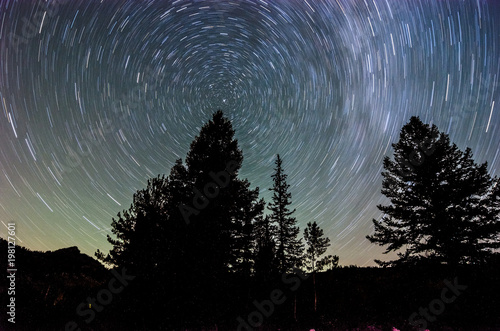 Star trails around trees