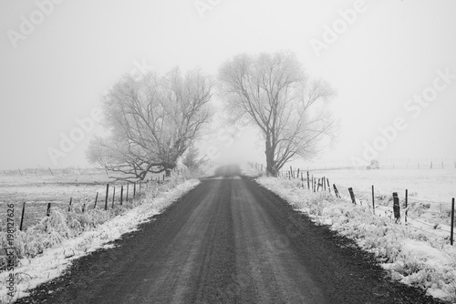 Creepy road in Winter