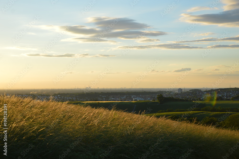 Obraz premium Weitblick