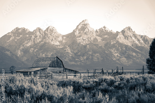 Tetons behind barn