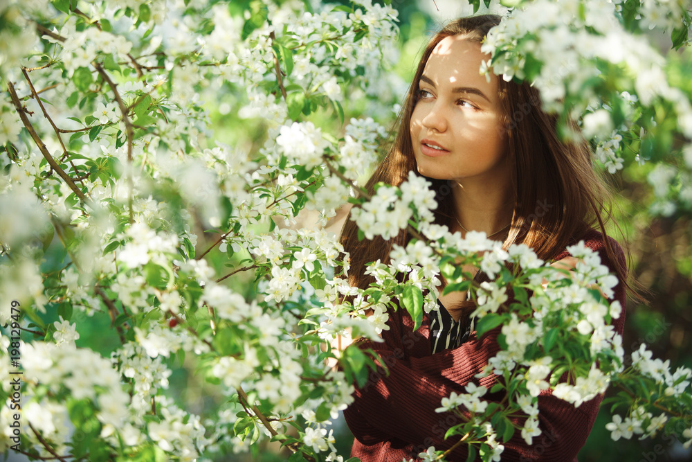 Fototapeta premium young woman with clean skin near a blooming apple tree. gentle portrait of girl in spring park.