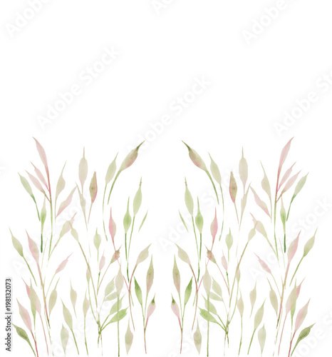 watercolor illustration of green twigs and grass 