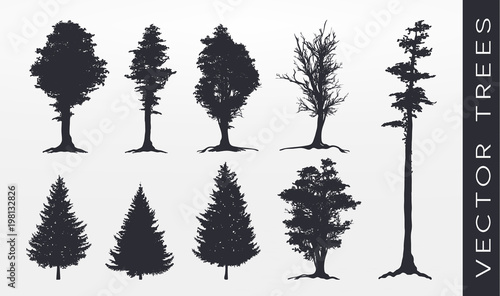 Forest silhouette  vector illustration.
