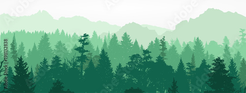 Forest silhouette, vector illustration.
