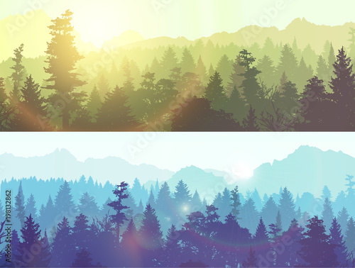 Forest silhouette, vector illustration.