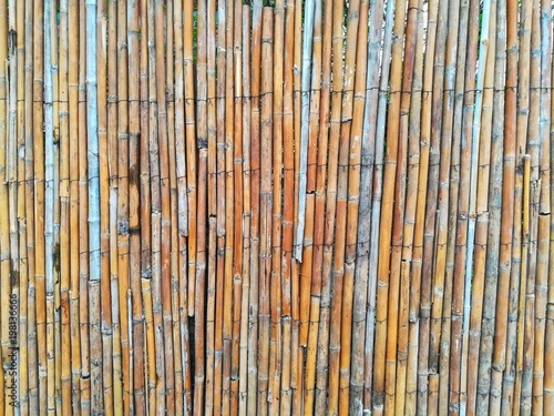 Natural detailed bamboo fence in tropics textured wall as a background