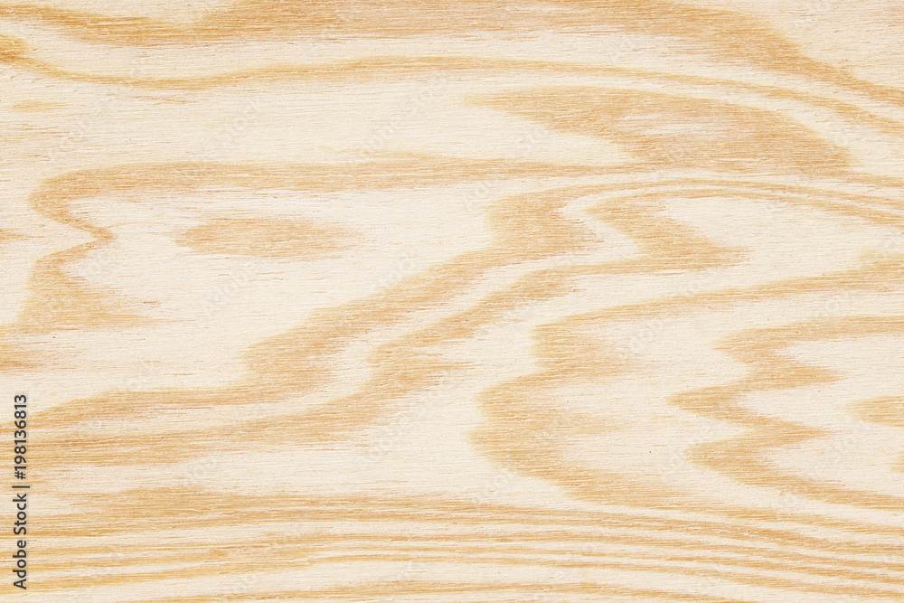 wood texture with gnarl and natural wood pattern wood texture with gnarl and natural wood pattern