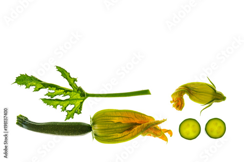 isolated courgettes with leaf and flowers on white background