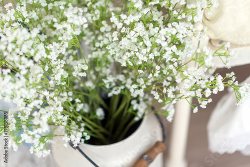 White flowers background