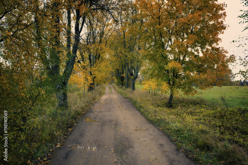 Country road in fall season. Latvia