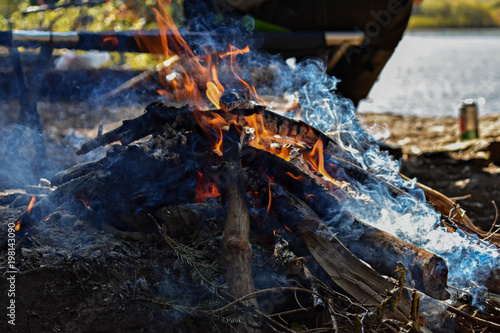 fire in nature . Bonfire in the forest