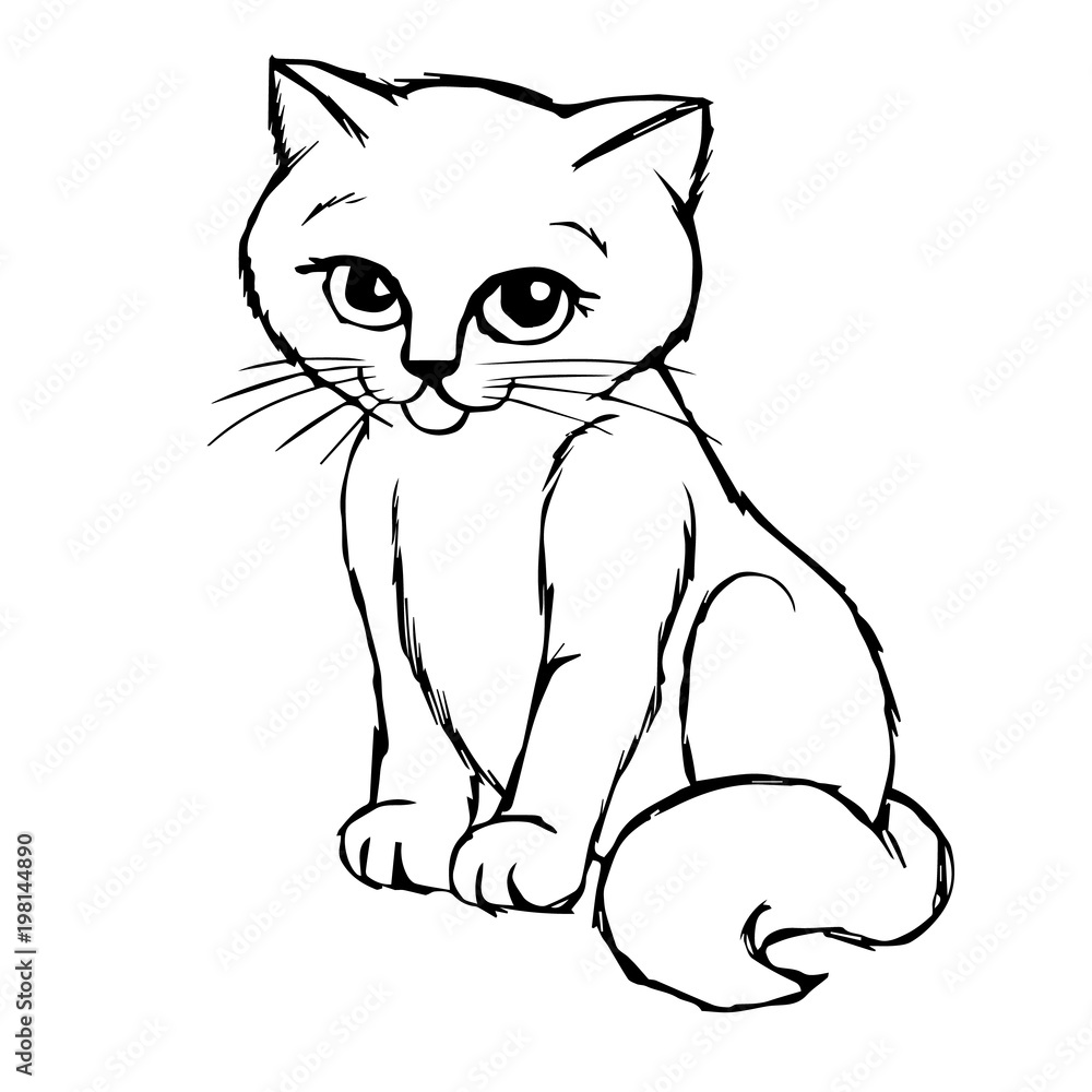 Obraz premium Cat Kitten hand drawn