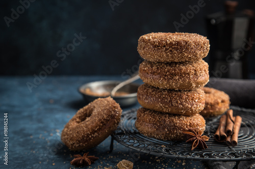 baked spacy donuts with cinnamon and cane sugar