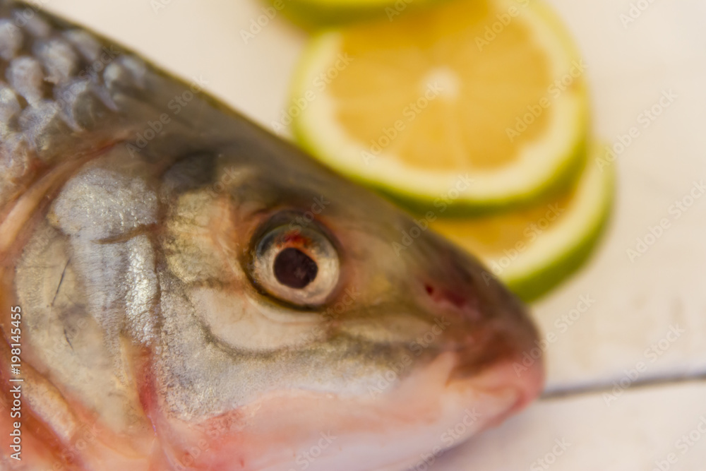 river fish with lemon and rosemary river fish with lemon and rosemary