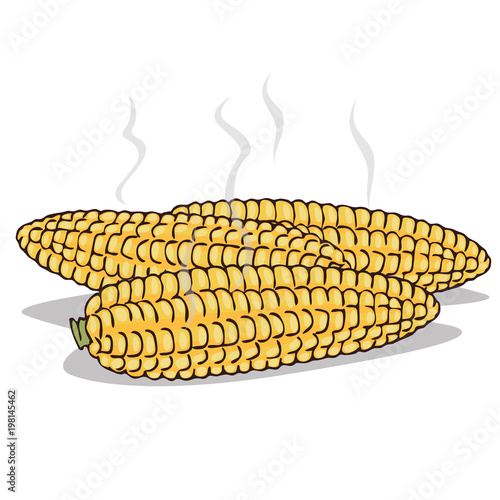 Isolate boiled corn ears with steam on white background. Close up clipart with shadow in flat realistic cartoon style. Hand drawn icon