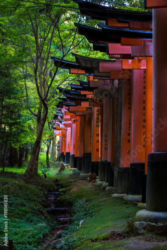 Kyoto, Japan at Fushimi Inari Shrine.