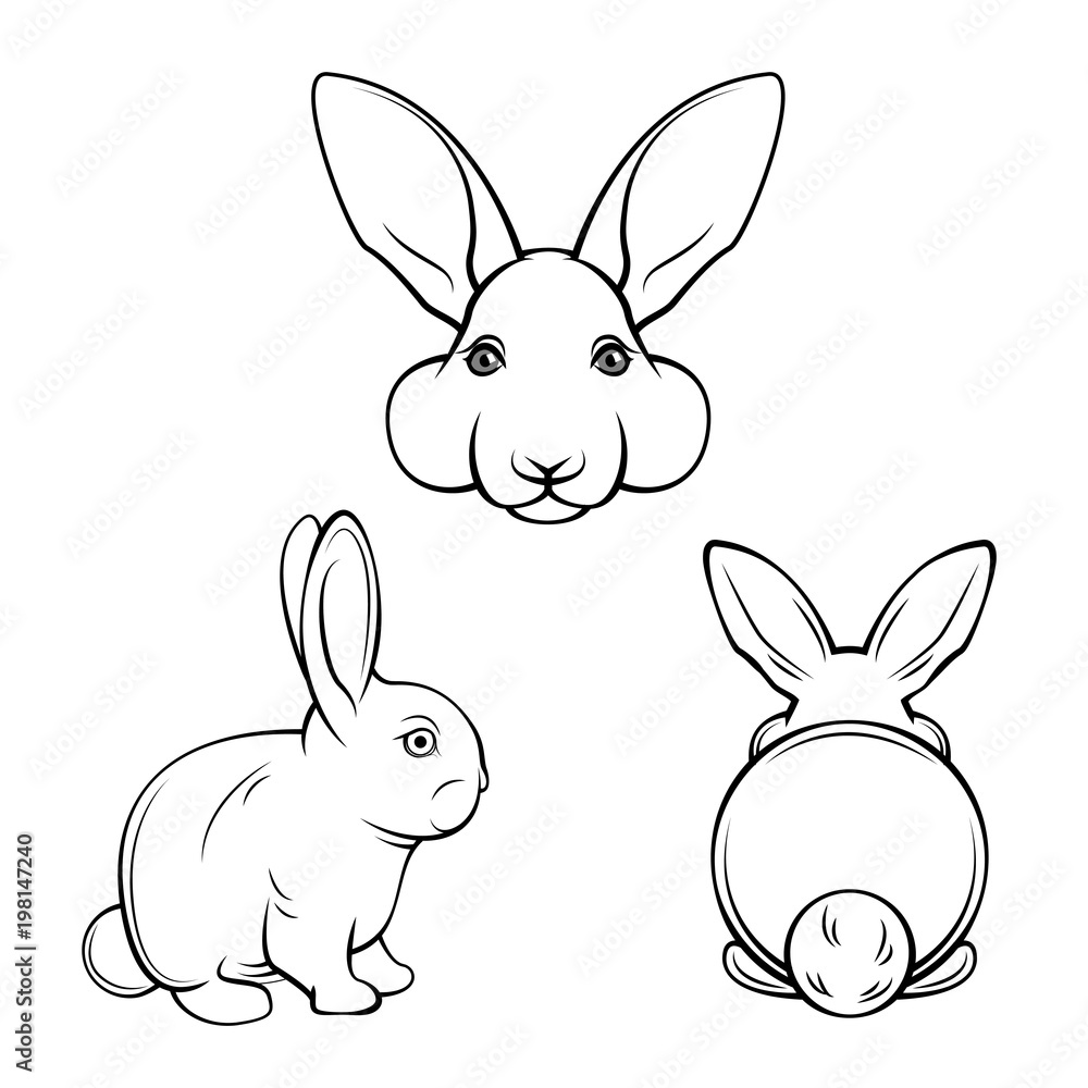 Fototapeta premium Bunny set. Rabbits, hares. Muzzle bunnies. Banny s back. illustration.