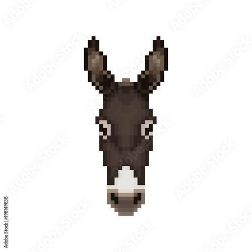 Donkey head in pixel art style. Vector illustration.