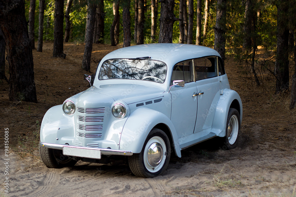 old car. wedding car. beautiful nature in the forest