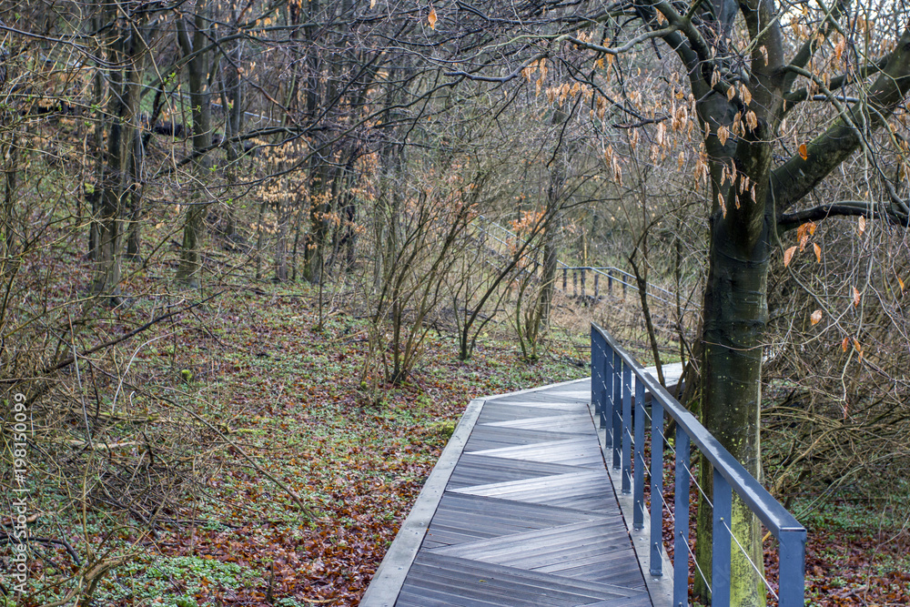 Fototapeta premium Wood pathwalk in Somogyvar