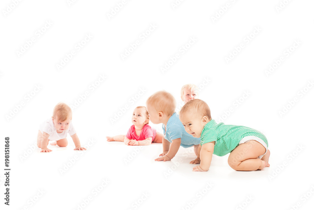 Group of eight babies, crawling, over white Group of eight babies, crawling, over white