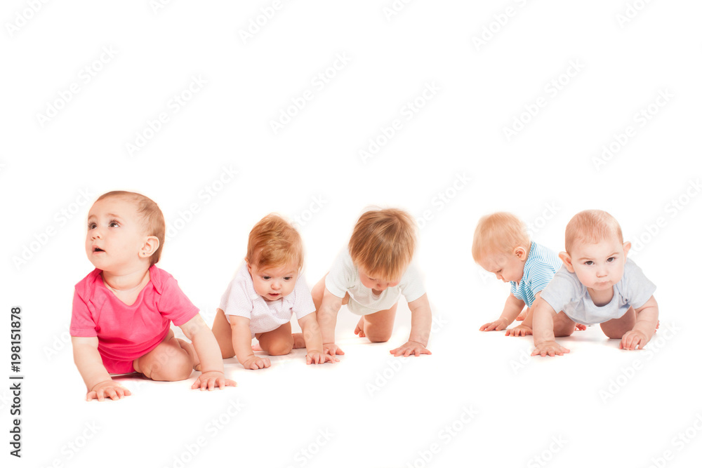 Group of eight babies, crawling, over white Group of eight babies, crawling, over white