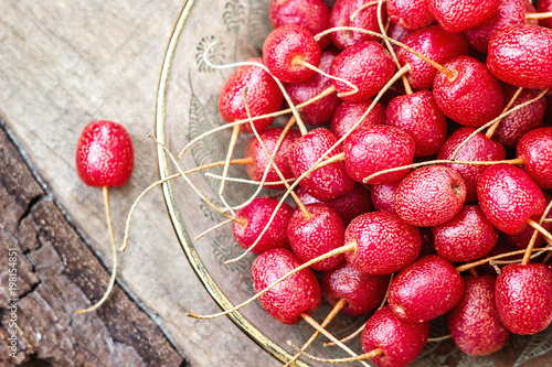 Ripe Autumn Olive Berries Elaeagnus Umbellata on wooden board. Elaeagnus multiflora, Japanese silverberry, cherry silverberry, goumi, gumi, natsugumi, semi-evergreen autumn-olive shrub  Shallow focus.
