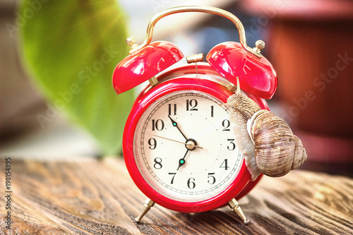 Retro alarm clock and a slow snail on it. Time does not wait concept. Time management concept. Land snail on an old desktop watch. Red alarm clock shows seven o clock, 6:55 o'clock 7 am 7 pm.