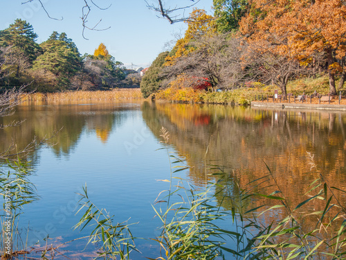 秋の公園_2