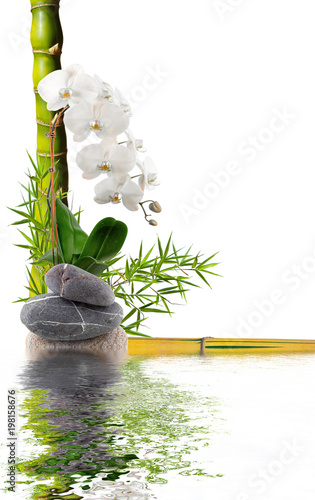 bambous, orchidée et galets avec reflets aquatiques