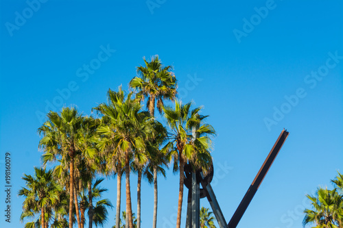Palm trees under a blue sky in Venice Beach