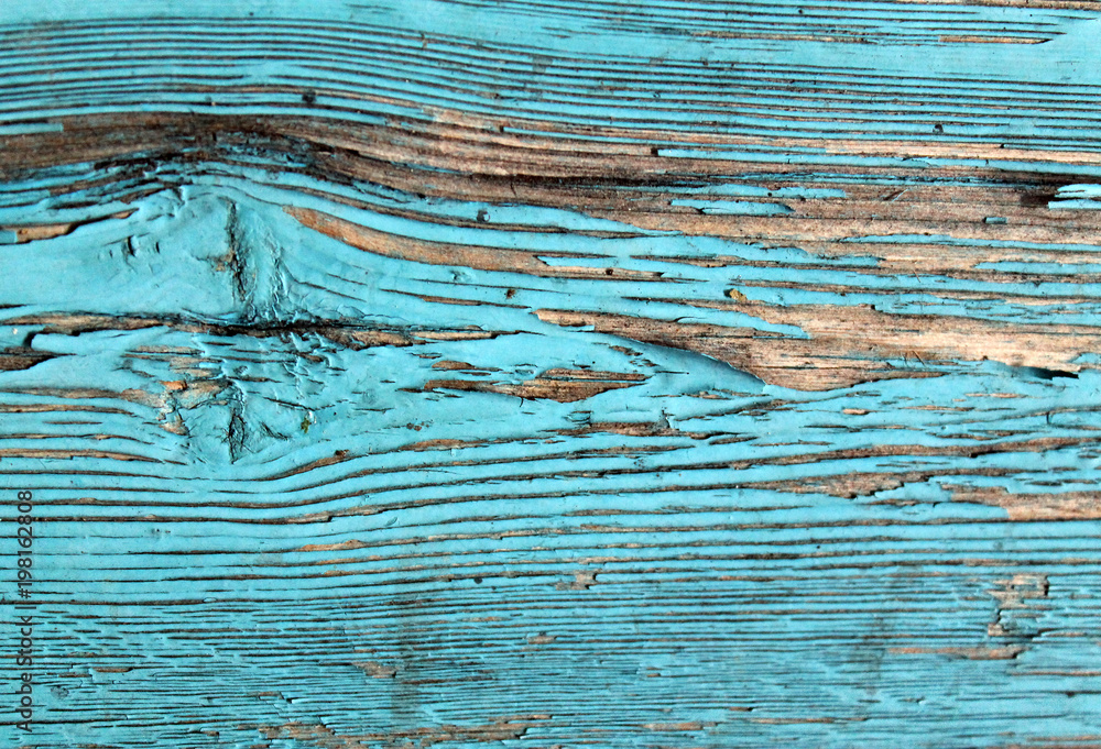 Naklejka premium Old wooden background with remains of pieces of scraps of old paint on wood. Texture of an old tree, board with paint, vintage background peeling paint. old blue board with cracked paint, vintage