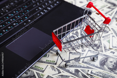 Shopping trolley, laptop and dollars