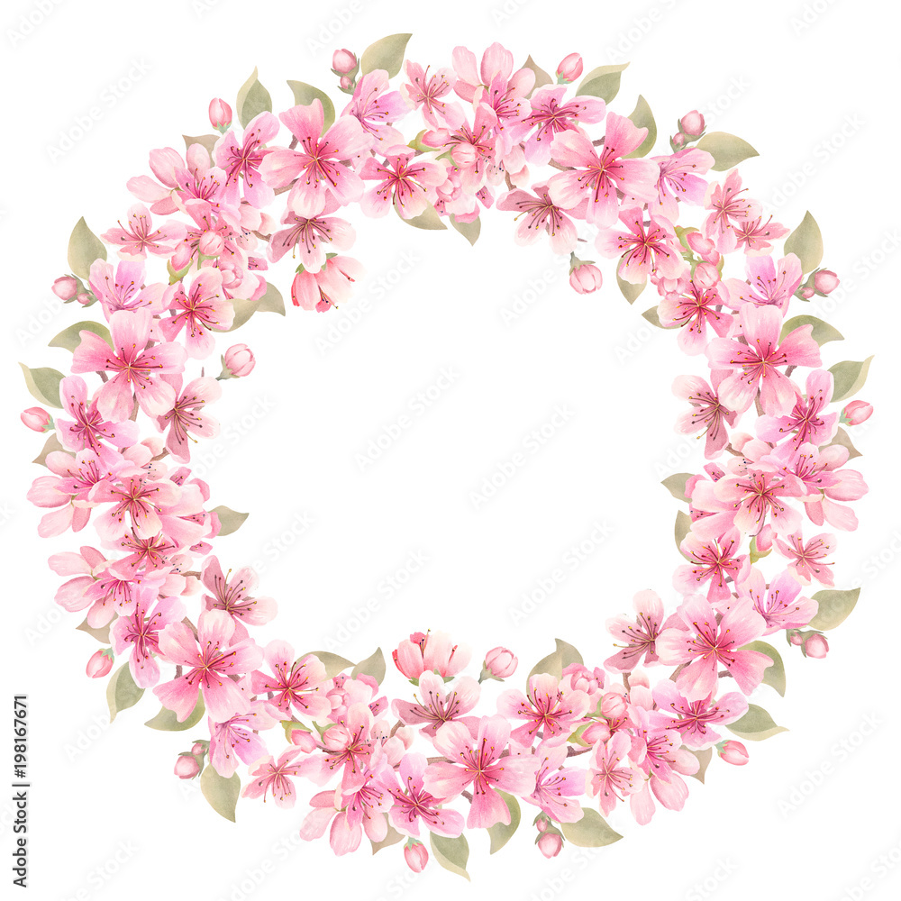 Cherry blossoms watercolor. Frame with flowers. Isolated on white background