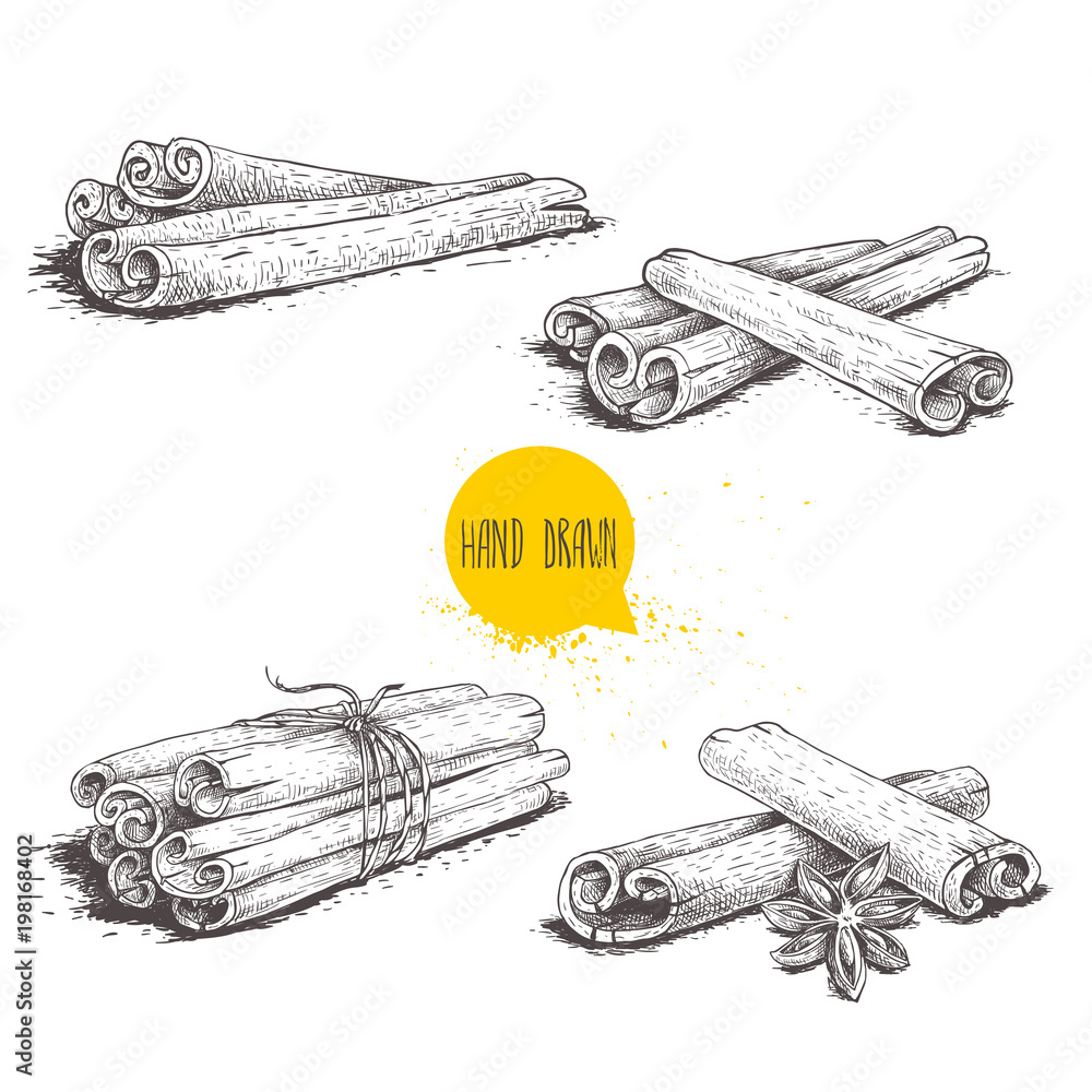 Hand drawn sketch style cinnamon sticks set. Tied with twine, with star ...