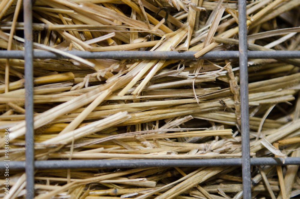 Texture of dry straw. Thatched wall close-up. Texture of dry straw. Thatched wall close-up.