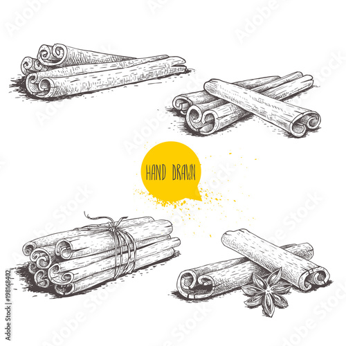 Hand drawn sketch style cinnamon sticks set. Tied with twine, with star anise and bunches. Isolated on white background. Vector healthy spice collection.