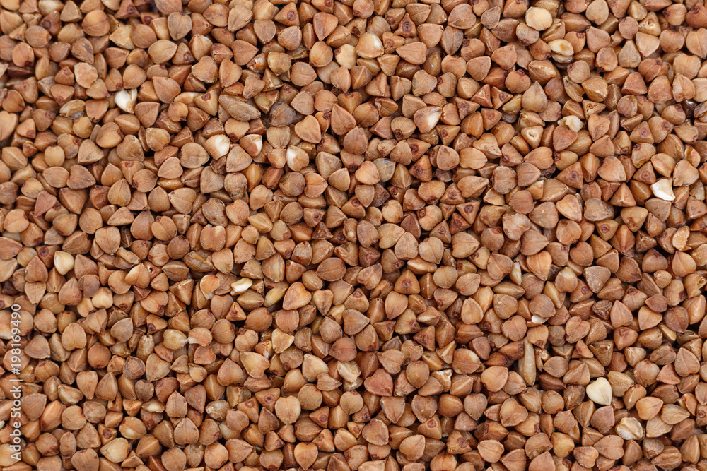 fresh buckwheat. dry buckwheat background or texture fresh buckwheat. dry buckwheat background or texture