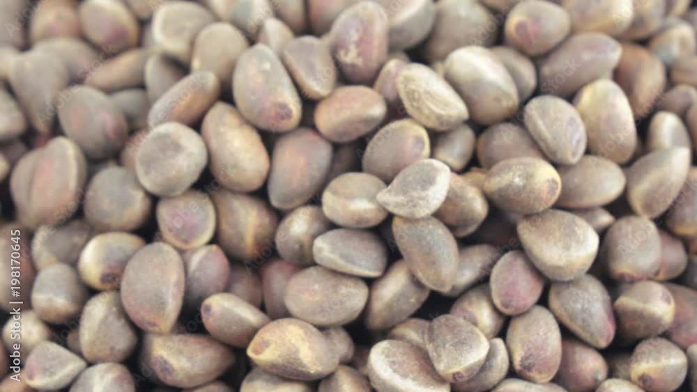 Pine nuts in bulks Pine nuts in bulks