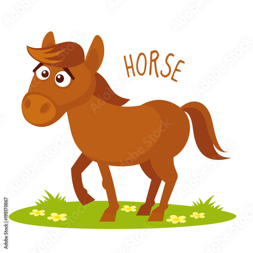 Horse Vector illustration isolated
