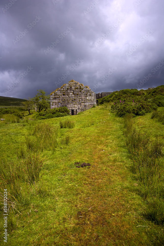 Fototapeta premium UK, Devon, Dartmoor, industrial heritage ruins at Powder Mills near Postbridge