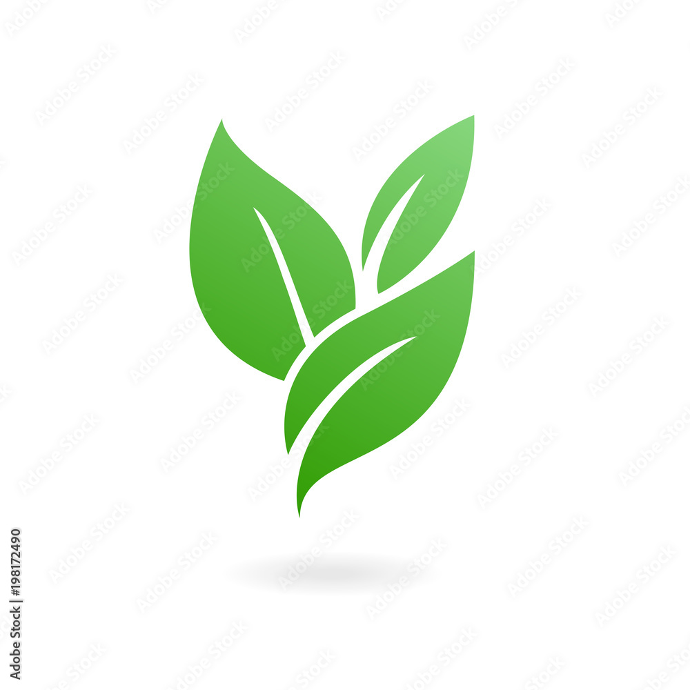 Flat leaves icons. Vector illustration.