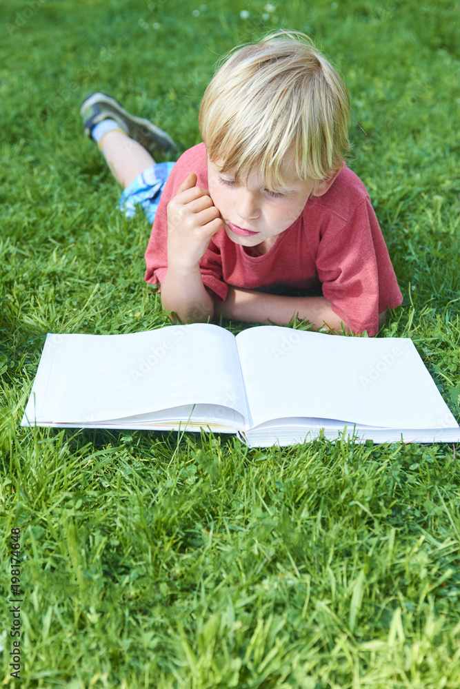 Child boy reading book, lying down on green grass. Blank pages for your content
Child boy reading book, lying down on green grass. Blank pages for your content