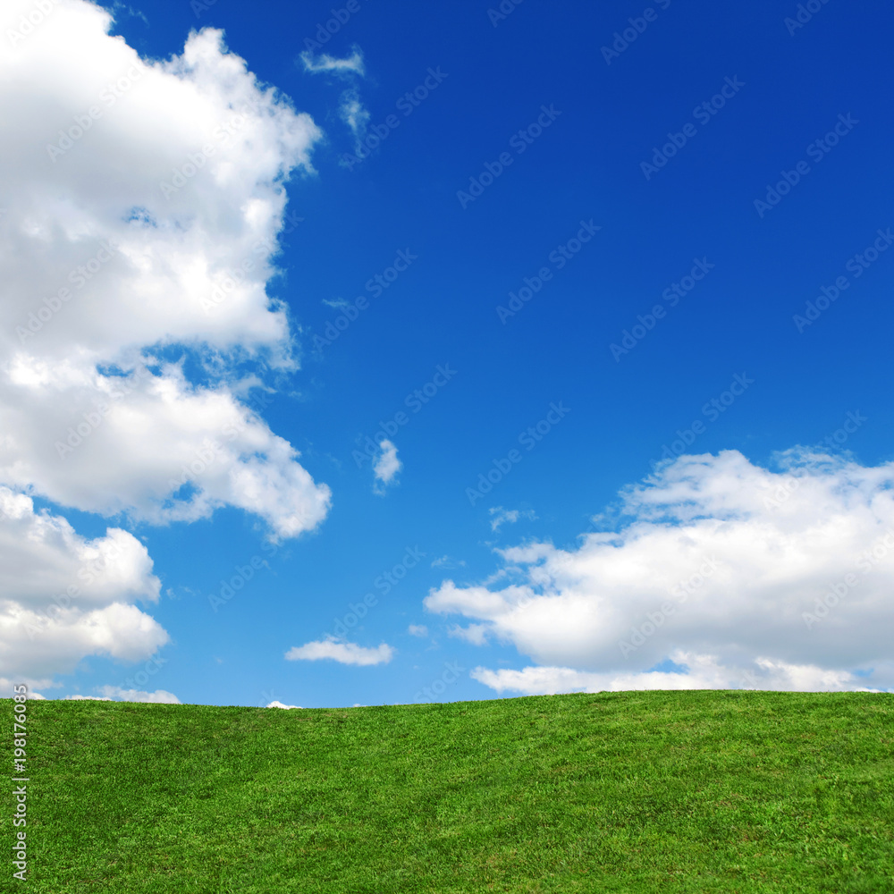 Landscape of grass field on bright sunny day. Nature beauty background, blue cloudy sky and spring summer green meadow. Outdoor lifestyle. Freedom concept. Landscape of grass field on bright sunny day. Nature beauty background, blue cloudy sky and spring summer green meadow. Outdoor lifestyle. Freedom concept.