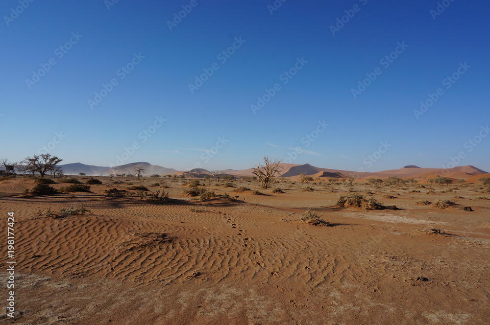 Landscape of Desert