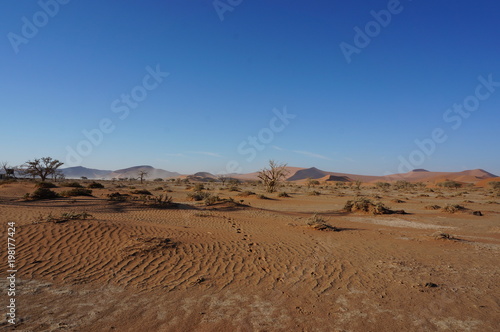 Landscape of Desert