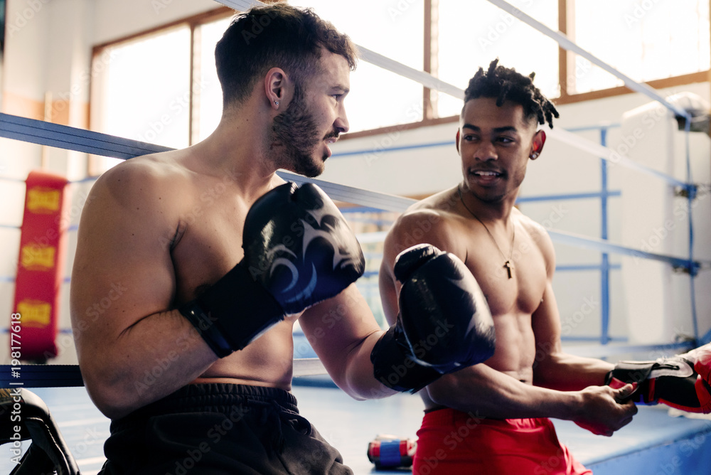 Fit men putting on boxing gloves and talking Fit men putting on boxing gloves and talking