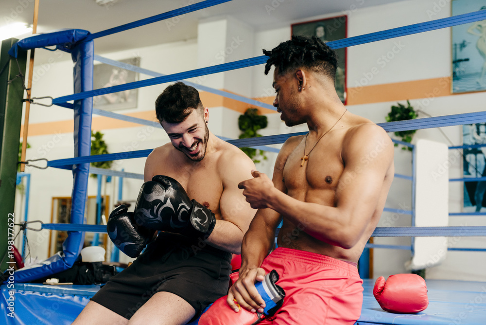 Fit men putting on boxing gloves and talking Fit men putting on boxing gloves and talking
